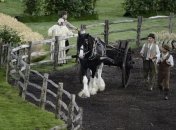 Соревнования, в которых нельзя проиграть