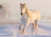 Народные традиции и советы на 12 февраля