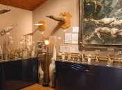 Самые отвратительные музеи мира