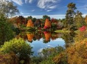 Жовтнева ідилія продовжується