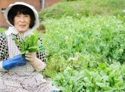 Икигай: Японский секрет долголетия и счастья