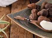 Какими полезными свойствами обладает масло ши