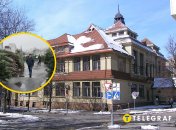 Продажа елок в Харькове