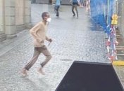 В Германии мужчина с ножом убил троих прохожих (видео)