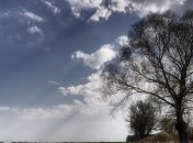 Погода в Украине 20 мая: дождливо, возможны грозы