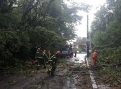 Непогода нанесла ущерб 40 населенным пунктам Украины