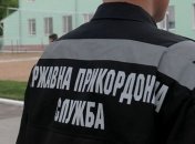 На Сумщине ограничат движение из-за африканской чумы 