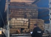 На Закарпатье СБУ разоблачила схему контрабандного вывоза леса за рубеж