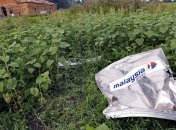 Украина не знает, где "черные ящики" со сбитого самолета 