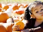 Актуально: ученые рассказали о полезных свойствах тыквенных семечек