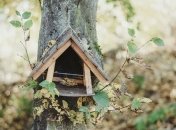 Какой завтра праздник: приметы и обряды на 17 ноября