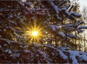 Прогноз погоды на 14-20 февраля.