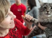 Кошки способны уничтожить человеческую расу