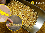 Залежи залота в Украине оцениваются в 3 тысячи тонн