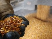 На Волыне планируют производить биотопливо