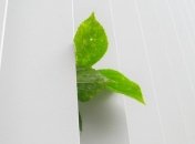 СМИ: Украина может получить серьезное ухудшение проблем с экологией