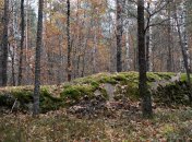 В прокуратуре заверили, что Беличанский лес застраивать не будут