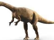 Росли как деревья: ученые открыли новый, необычный вид динозавров