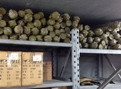 Найденные в хранилище оружие и боеприпасы оказались муляжами