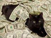 Сделали расклад Таро на финансы для каждого знака Зодиака на неделю с 12 по 18 августа 2024 года