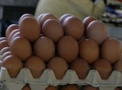 Украина получила разрешение на экспорт яиц в Японию