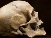 Ученые воссоздали лицо девушки по ее 9000-летнему черепу