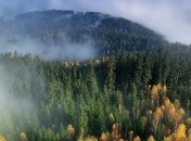 Стоит ли ждать потепления: прогноз погоды на завтра, 21 сентября