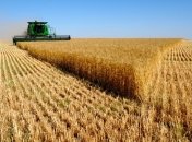 Главное чем Украина снабжает мир - зерно, но не только