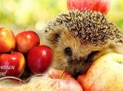 19 августа - Яблочный Спас или Преображение Господне