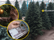 Цены на елки в Украине.