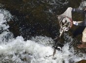 Ученые нашли мощное лекарство в воде и речной рыбе