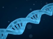 Экономия времени: ИИ быстрее определяет гены, связанные с сердечной недостаточностью