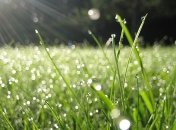 Морозный циклон с Европы: в Украине существенно похолодает