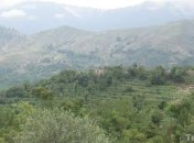 В Афганистане принимат меры против неблагоприятного климата