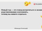 На Новий рік хтось один у сім’ї має бути тверезим. Обрали кота: жарти 31 грудня