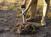 Перекапывание - важный этап подготовки земли к холодам