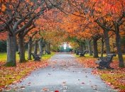 Ілюстративне фото