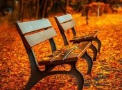 Где тепло, а где дожди: погода 16 сентября (карта)