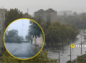 Стихия повалила деревья
