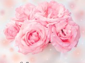 Сестра достойна лучших слов