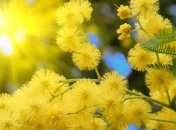 В ближайшие дни погода порадует украинцев весенним теплом