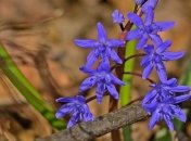 Погода в Украине 27 марта: преимущественно без осадков