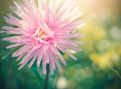 21 июля. Приметы дня