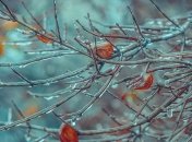 11 января - приметы и обряды на Страшной день, День избиения младенцев