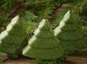 Эксперты рассказали, что можно сделать из елки после праздников