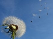 15 марта - приметы и обряды в день Федота-ветроноса