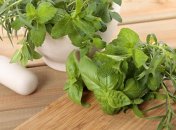 Мята имеет множество полезных свойств для здоровья