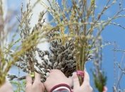 Погода на выходные 31 марта - 1 апреля: в Украине резко потеплеет