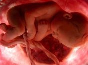 Подготовка мужчины к зачатию