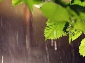 Ближайшие пять дней в Украине будет прохладно и дождливо